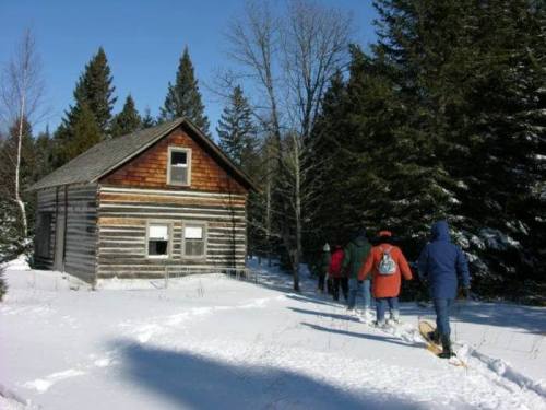 A group of people walks through snow towards a rustic wooden cabin surrounded by tall trees.