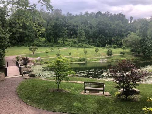 A serene park scene featuring a pond, lush greenery, a wooden bench, and a winding path under a cloudy sky.