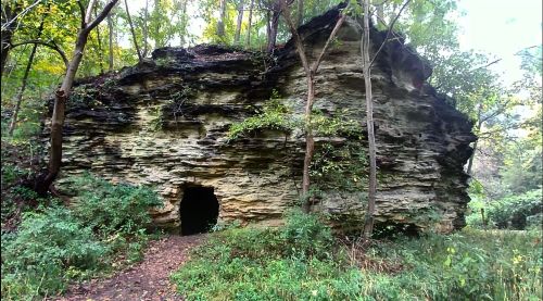 A rocky cliff with a cave entrance, surrounded by lush greenery and trees in a forested area.