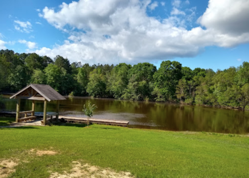 A serene pond surrounded by lush greenery and trees, with a small gazebo and wooden dock under a blue sky with clouds.