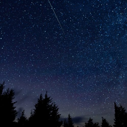 A starry night sky filled with countless stars and a bright meteor streaking across the scene above dark silhouettes of trees.