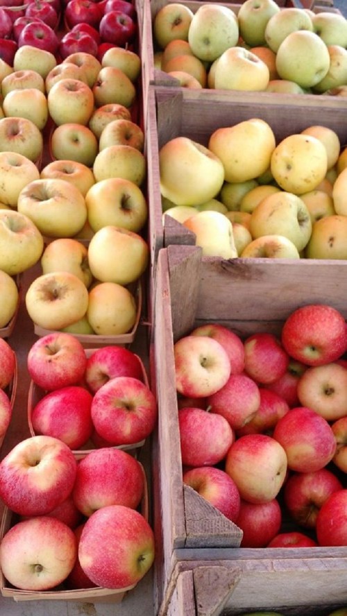 Baskets of red and green apples arranged at a market, showcasing a variety of fresh, vibrant fruit.
