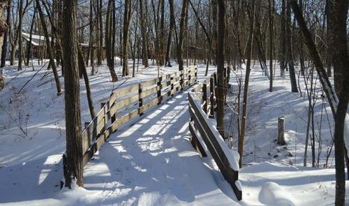 A wooden bridge crosses a snowy landscape, surrounded by bare trees in a tranquil winter setting.