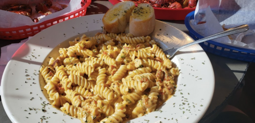 A plate of creamy pasta with spiral noodles, garnished with herbs, alongside garlic bread in a casual dining setting.