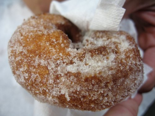 A close-up of a sugar-coated donut held with a napkin, showcasing its golden-brown texture.