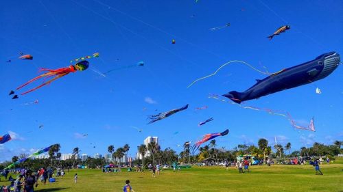 Colorful kites of various shapes, including a whale, flying in a clear blue sky over a park filled with people.