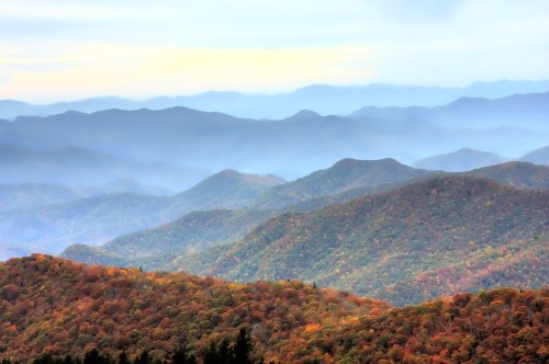 A panoramic view of misty mountains with layers of green and autumn-colored foliage under a soft sky.