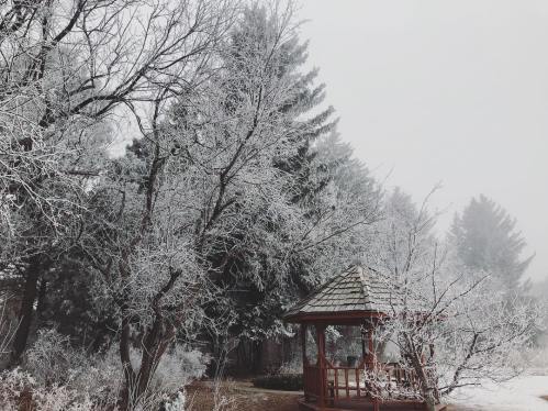 A serene winter scene featuring frosted trees and a wooden gazebo surrounded by a misty atmosphere.