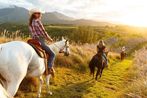 A woman in a cowboy hat rides a white horse, with two others on horseback in a scenic, sunlit landscape.