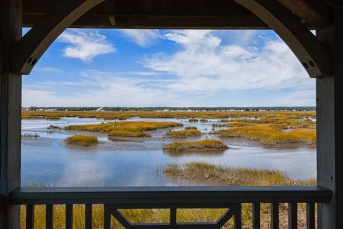 View of a serene marshland with golden grasses and blue skies, framed by a wooden structure.