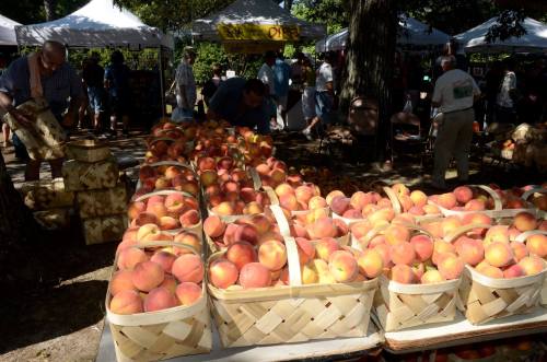 Baskets of fresh peaches at a bustling outdoor market with people browsing nearby stalls.