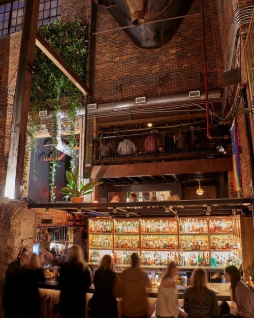 A lively bar scene with patrons at the counter, surrounded by plants and warm lighting in a brick interior.