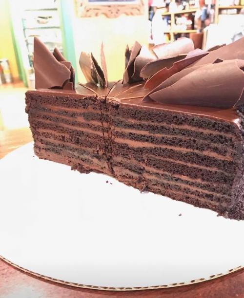 A slice of layered chocolate cake with dark chocolate decorations on top, showcasing rich, moist layers.
