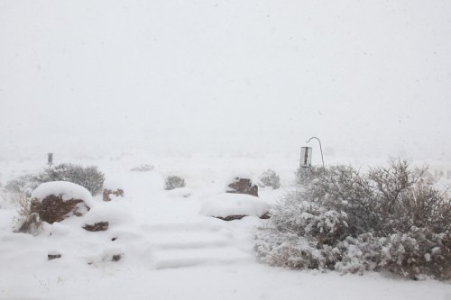 A snowy landscape with covered rocks and shrubs, visibility low due to heavy snowfall.
