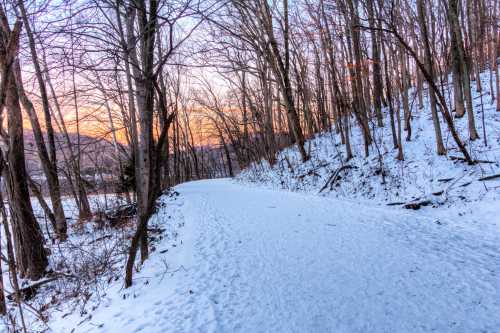 A snowy path winds through a forest of bare trees at sunset, with soft light illuminating the landscape.