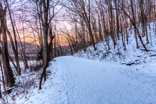 A snowy path winds through a forest of bare trees at sunset, with soft light illuminating the landscape.