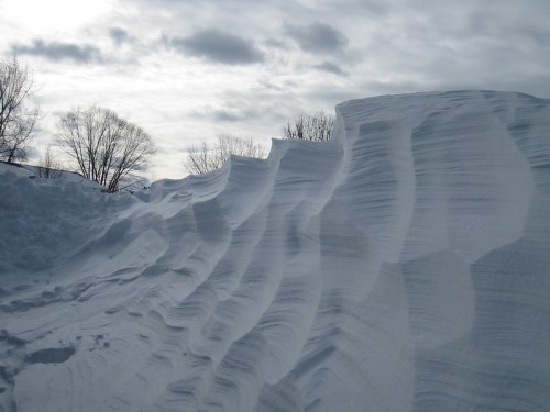 Snowdrifts create wavy patterns under a cloudy sky, with bare trees in the background.