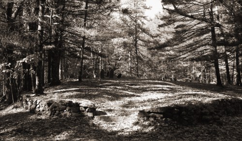 A serene forest scene with a stone structure surrounded by trees, covered in fallen leaves, in black and white.