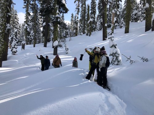 A group of people in winter gear standing in a snowy forest, some waving, surrounded by tall trees.