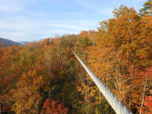 A cable stretches over vibrant autumn trees, showcasing a landscape of orange and yellow foliage under a clear blue sky.
