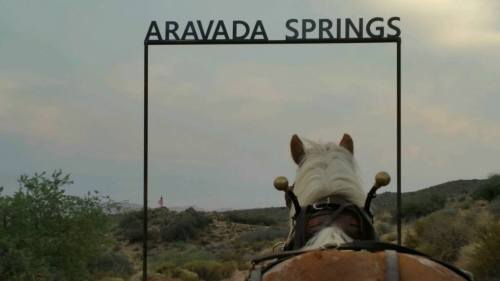 A horse stands in front of an archway sign reading "Aravada Springs," with a desert landscape in the background.