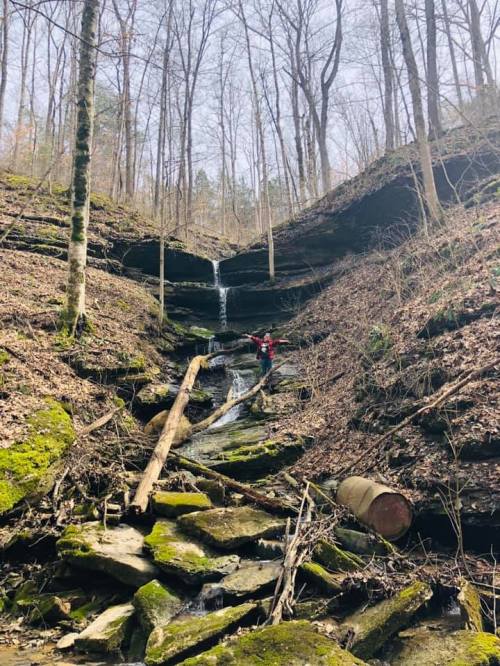 A person stands near a small waterfall in a wooded area, surrounded by moss-covered rocks and trees.