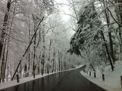 A winding road surrounded by snow-covered trees on a winter day, with a cloudy sky above.