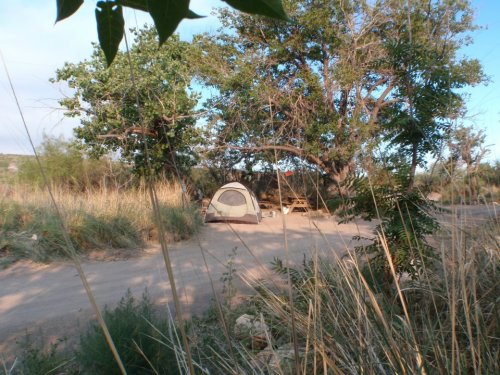 A campsite with a tent and picnic table surrounded by tall grass and trees on a dirt path.