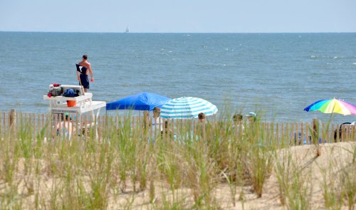 A beach scene with people relaxing under umbrellas, a lifeguard tower, and tall grass in the foreground.