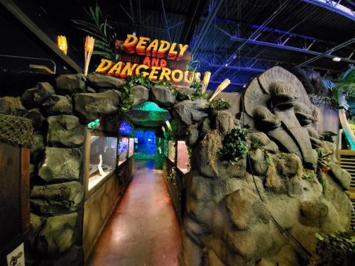 Entrance to a themed attraction titled "Deadly and Dangerous," featuring stone archway and tropical decor.