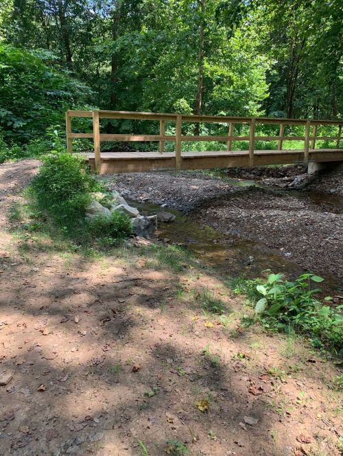 A wooden bridge spans a small stream in a lush, green forested area with a dirt path nearby.