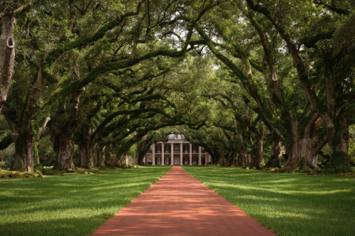 A brick pathway leads through lush greenery and towering trees to a grand, historic mansion in the background.