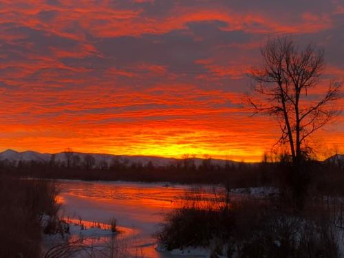 A vibrant sunset casts orange and red hues over a snowy landscape and a calm river, with silhouetted trees in the foreground.
