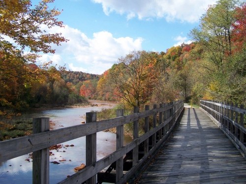 A wooden bridge leads through vibrant autumn foliage beside a calm river under a blue sky with fluffy clouds.