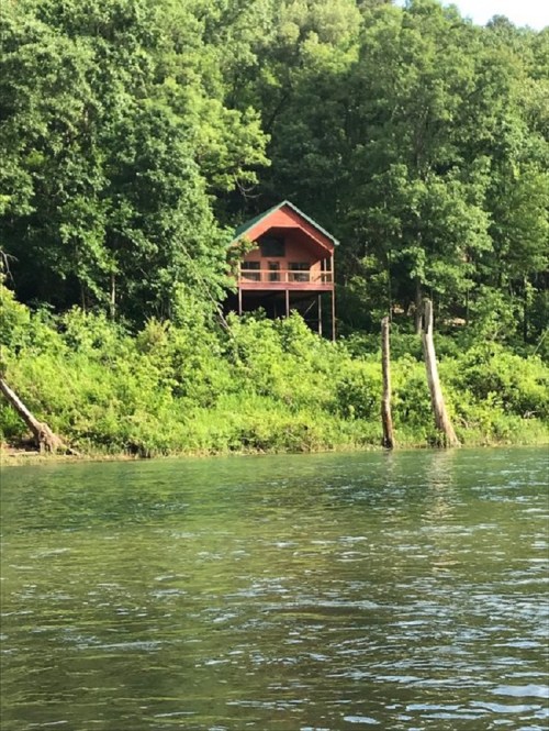 A red cabin nestled among lush green trees by a calm river.