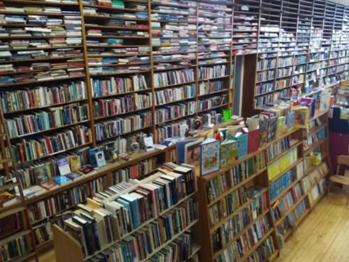 A cozy library filled with tall shelves of books and wooden tables, creating a warm and inviting reading space.