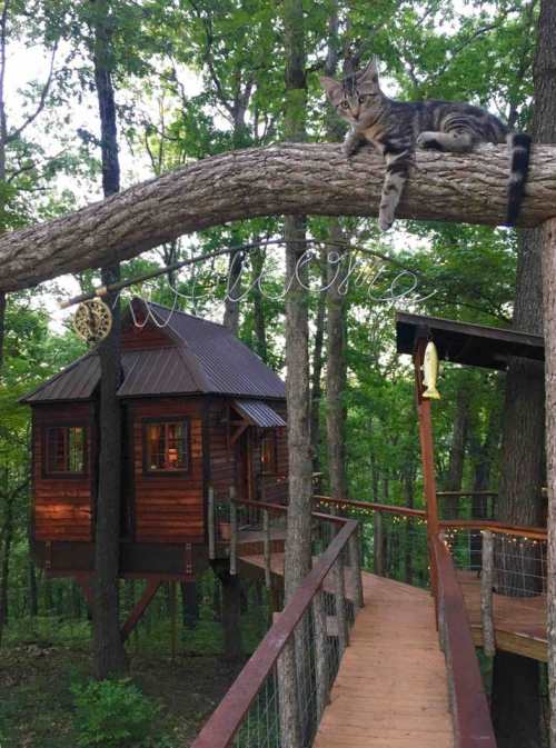 A cat lounges on a tree branch near a wooden treehouse, surrounded by lush green trees.