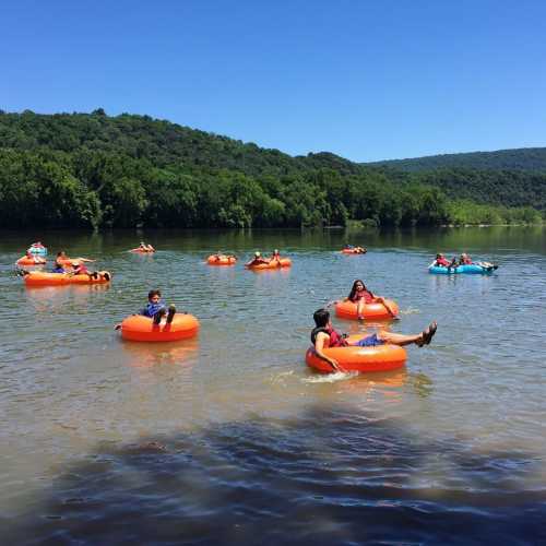 People floating on orange inner tubes in a calm river surrounded by green trees and a clear blue sky.