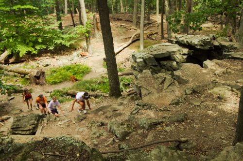 A group of hikers climbs a rocky trail in a lush, green forest. Trees surround the path and rocky terrain.
