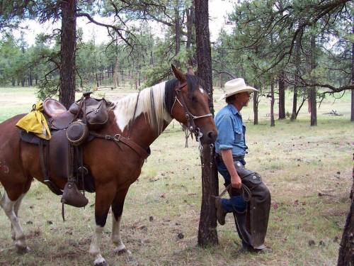 A cowboy in a hat stands beside a horse, leaning against a tree in a forested area.