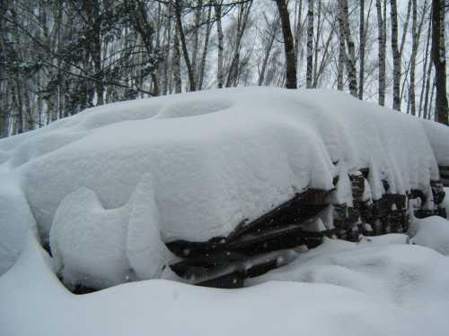 A snow-covered structure partially hidden under a thick layer of snow, surrounded by bare trees in a winter landscape.