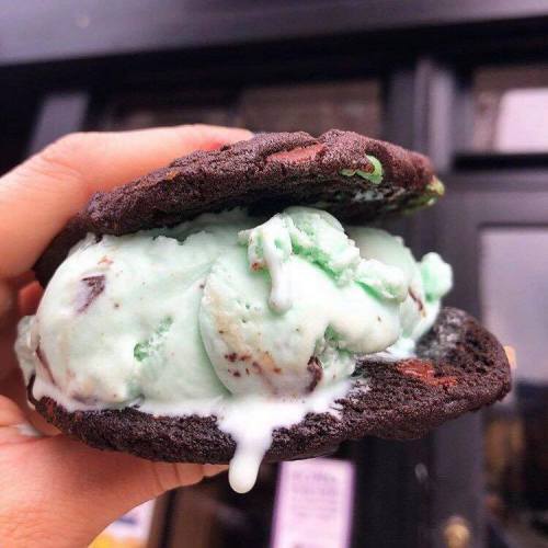 A hand holding a chocolate cookie sandwich filled with mint chocolate chip ice cream, melting slightly.