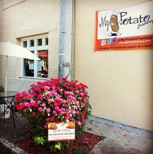 A colorful flower bush in front of a building with a sign for "My Potato Factory" that says "Now Open."