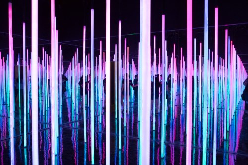 A vibrant installation with tall, illuminated poles in pink and blue, reflecting in a mirrored floor with silhouettes of people.