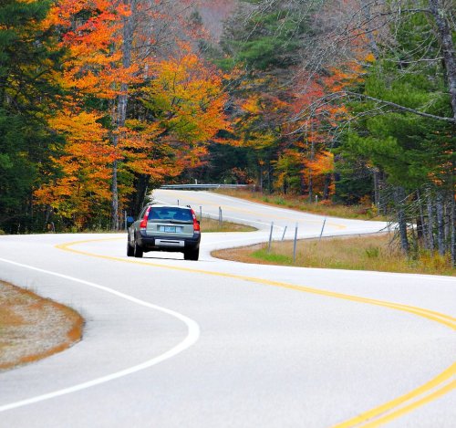 A car drives along a winding road surrounded by trees with vibrant autumn foliage.