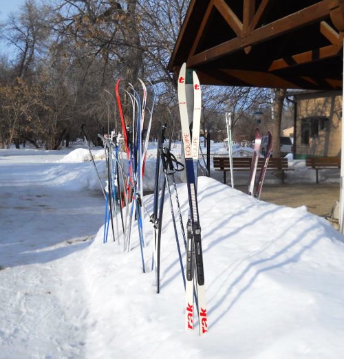 A row of various skis standing upright in the snow near a wooden shelter in a winter landscape.