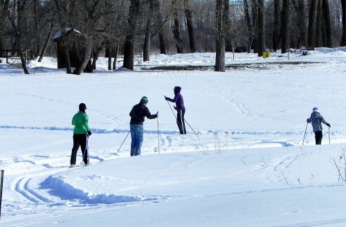 Four people cross-country skiing on a snowy trail surrounded by trees in a winter landscape.