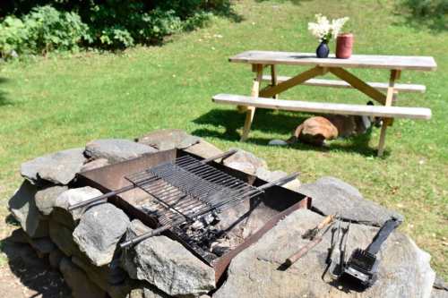 A stone fire pit with a grill, a picnic table nearby, and a dog resting on the grass in a green outdoor setting.