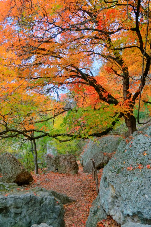 A scenic path surrounded by vibrant autumn trees and rocky formations, with colorful leaves scattered on the ground.