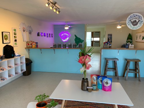 Bright, modern interior of a shop with a neon sign, plants, and a display of products on a light blue counter.